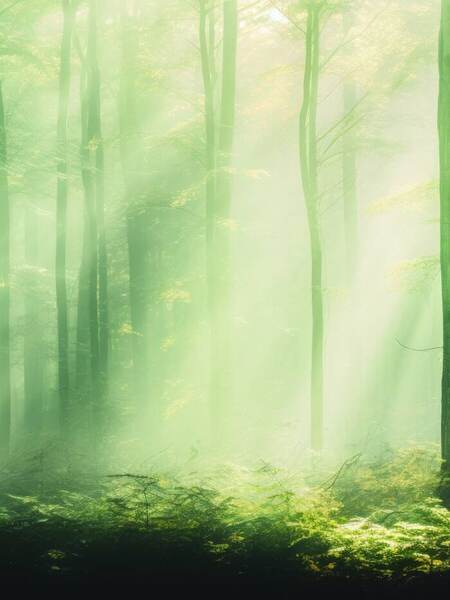 Misty Woods photobooth backdrop in Singapore