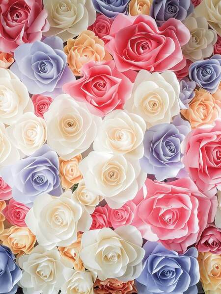 Rose Riot photobooth backdrop in Singapore